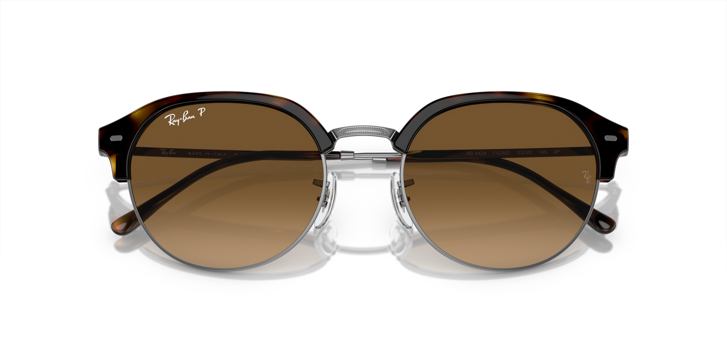 Ray-Ban RB4429 Sunglasses - Geometric Injected Frame