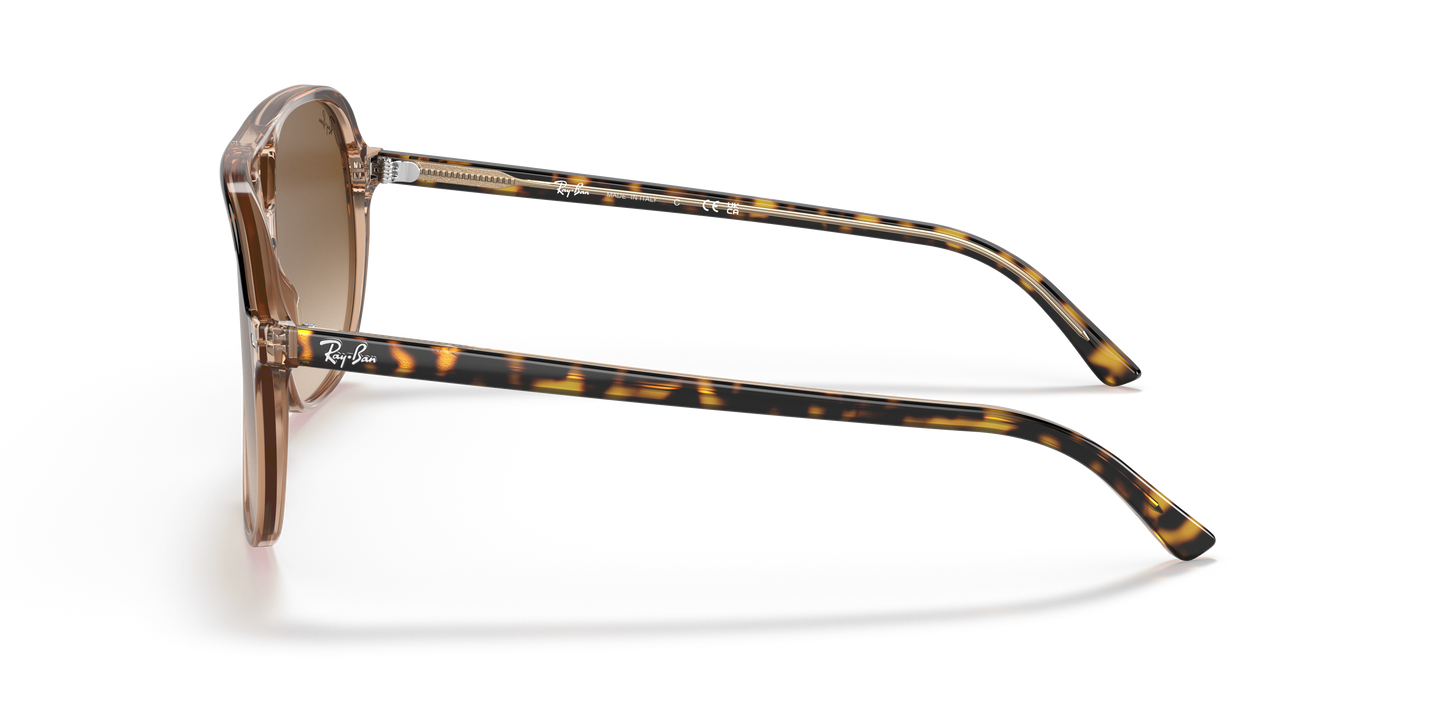 Ray-Ban RB2198 Bill Sunglasses - Square Acetate Frame