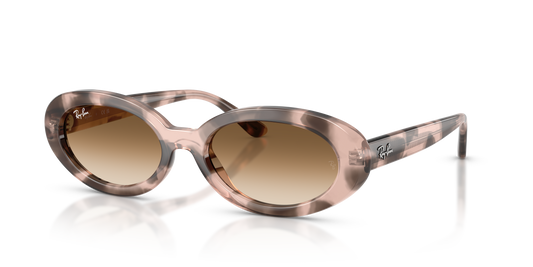 Ray-Ban RB2223 Sunglasses - Oval Injected Frame
