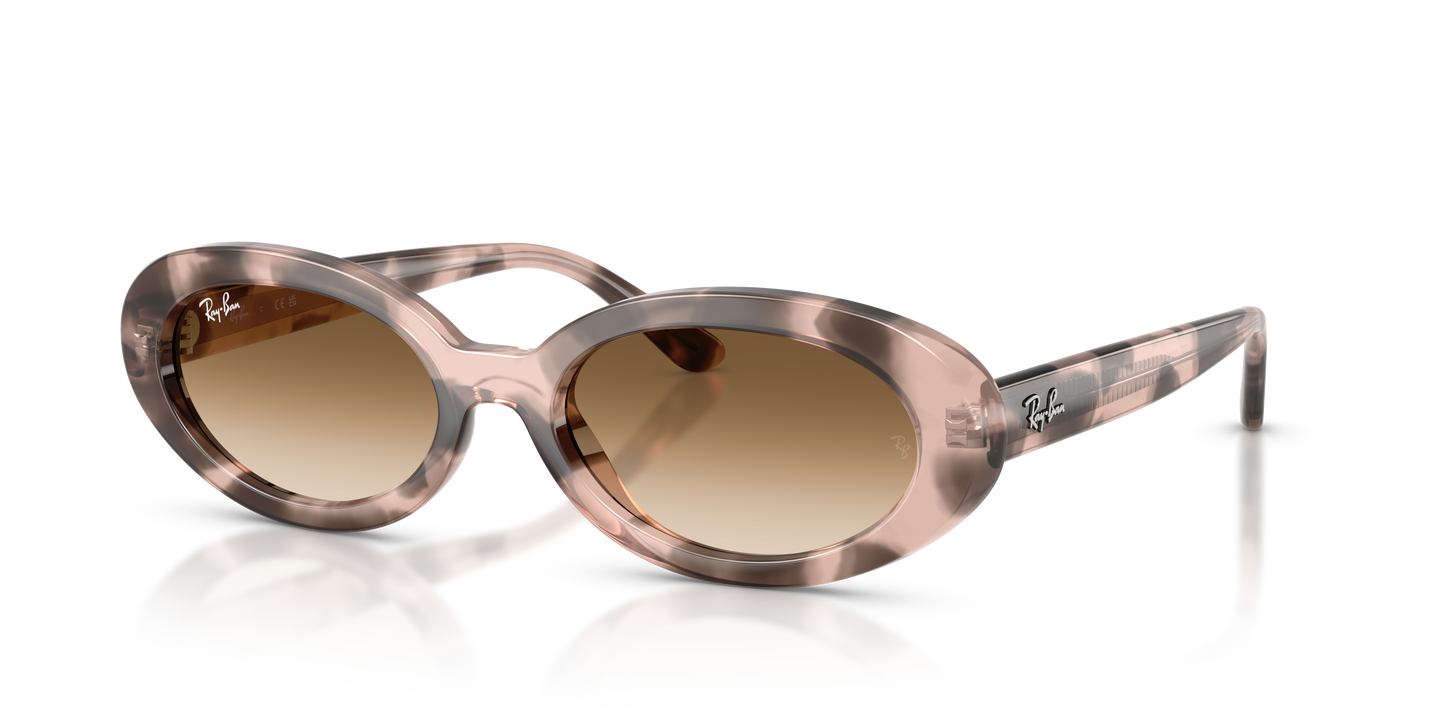 Ray-Ban RB2223 Sunglasses - Oval Injected Frame