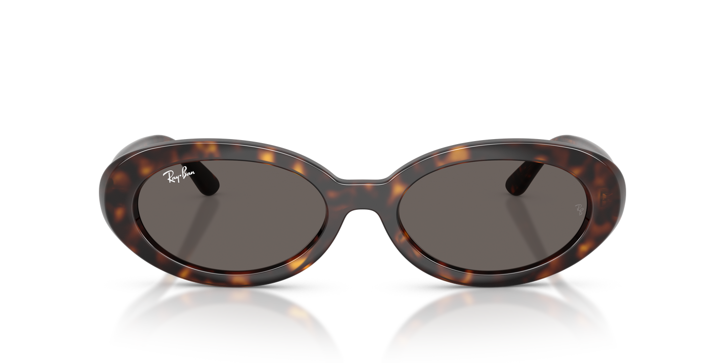 Ray-Ban RB2223 Sunglasses - Oval Injected Frame