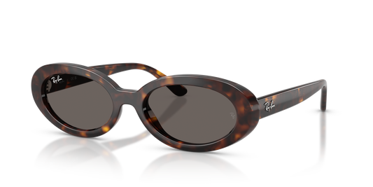Ray-Ban RB2223 Sunglasses - Oval Injected Frame