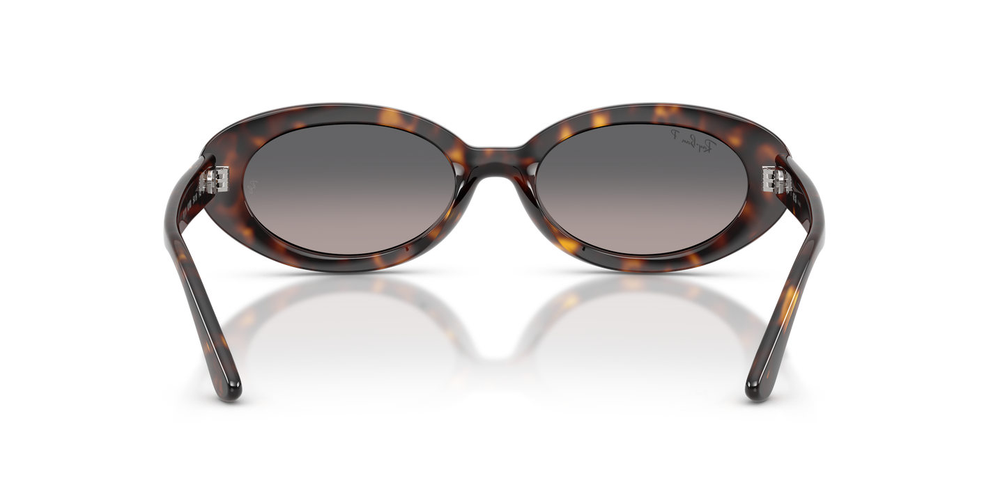 Ray-Ban RB2223 Sunglasses - Oval Injected Frame