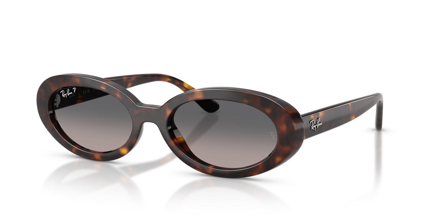 Ray-Ban RB2223 Sunglasses - Oval Injected Frame