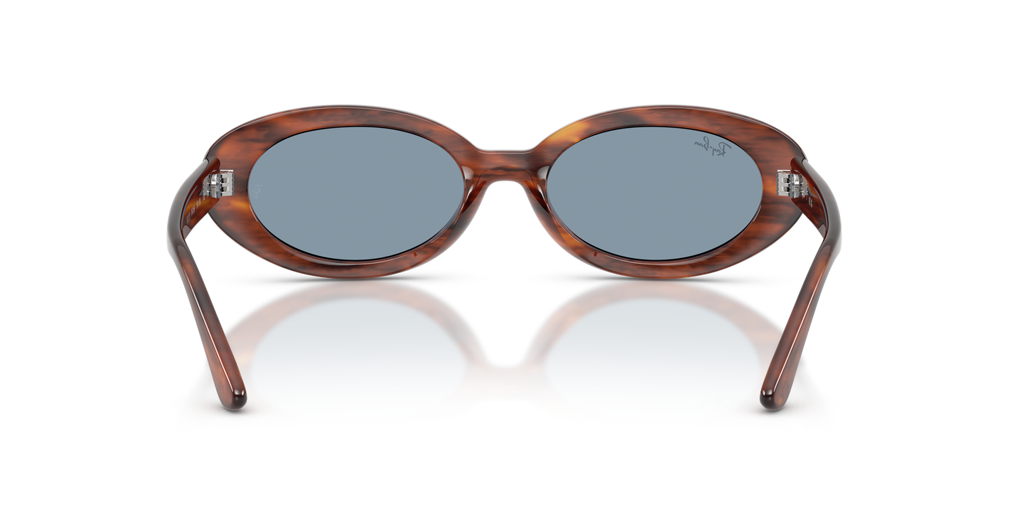 Ray-Ban RB2223 Sunglasses - Oval Injected Frame