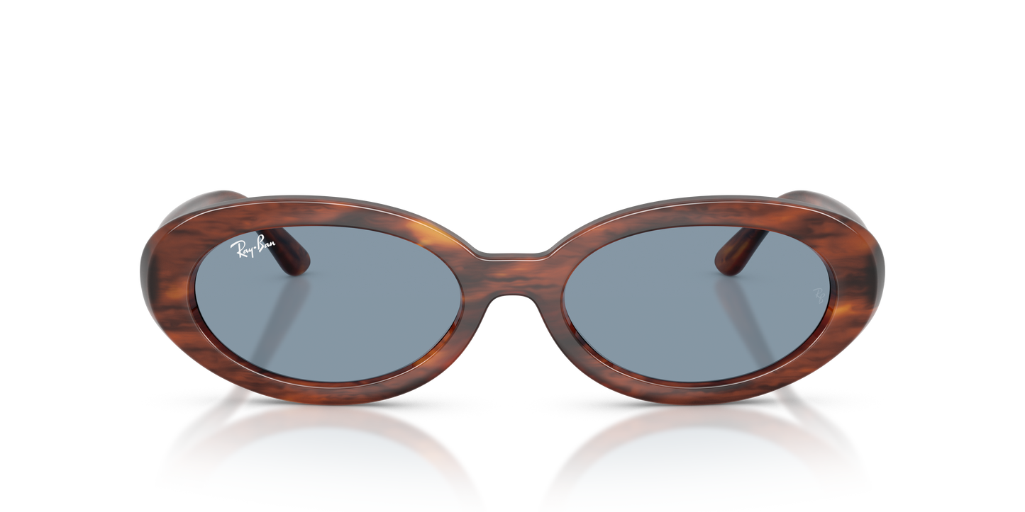 Ray-Ban RB2223 Sunglasses - Oval Injected Frame