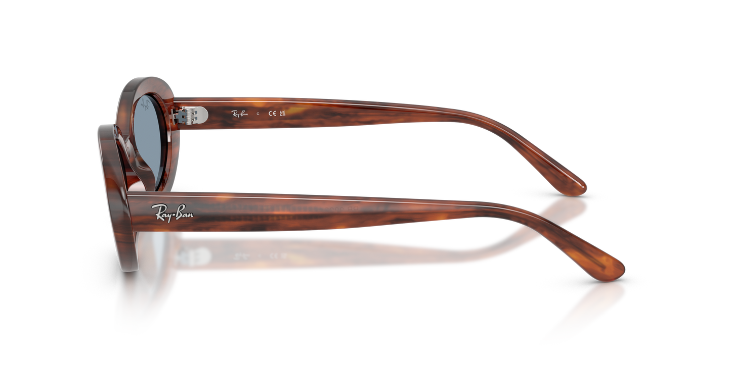 Ray-Ban RB2223 Sunglasses - Oval Injected Frame