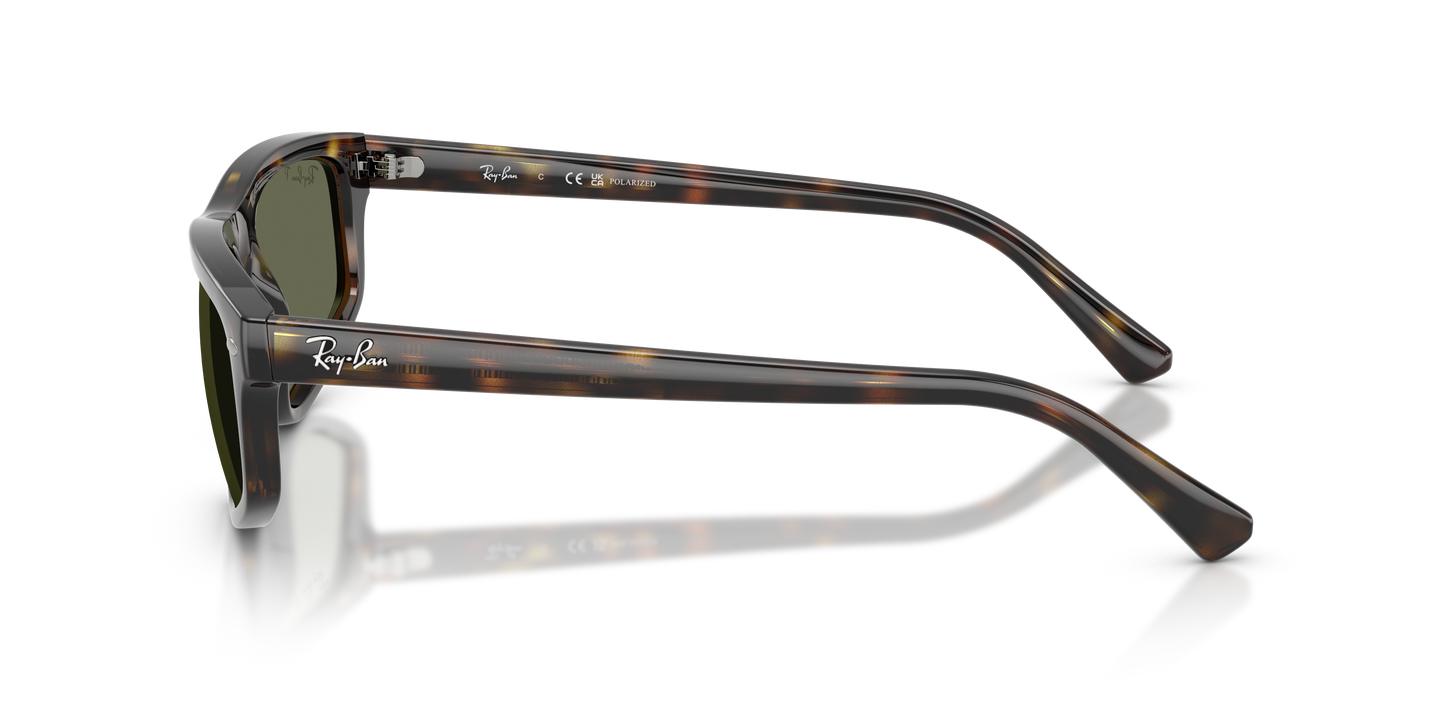 Ray-Ban RB2225 Sunglasses - Geometric Injected Frame