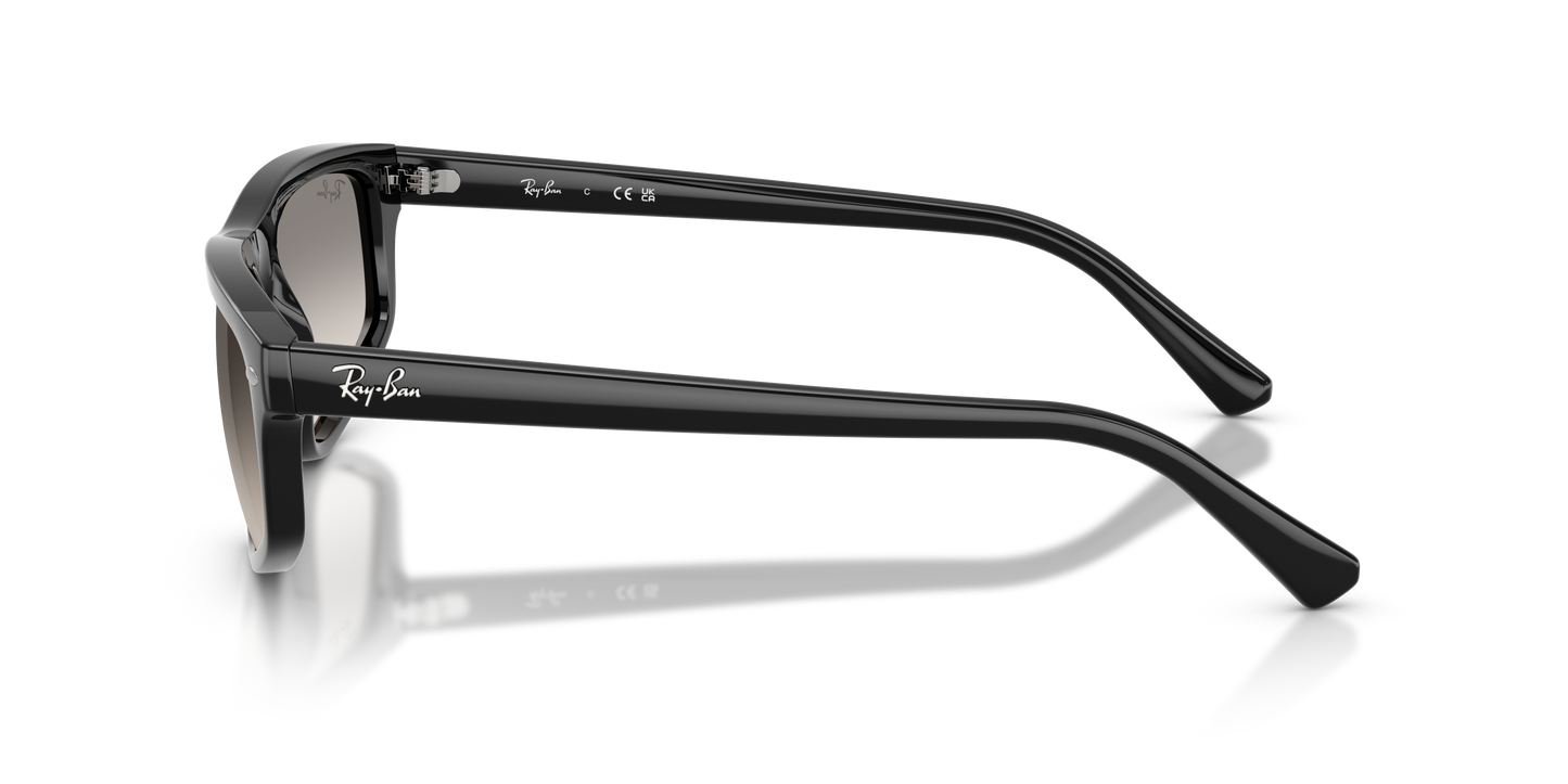 Ray-Ban RB2225 Sunglasses - Geometric Injected Frame