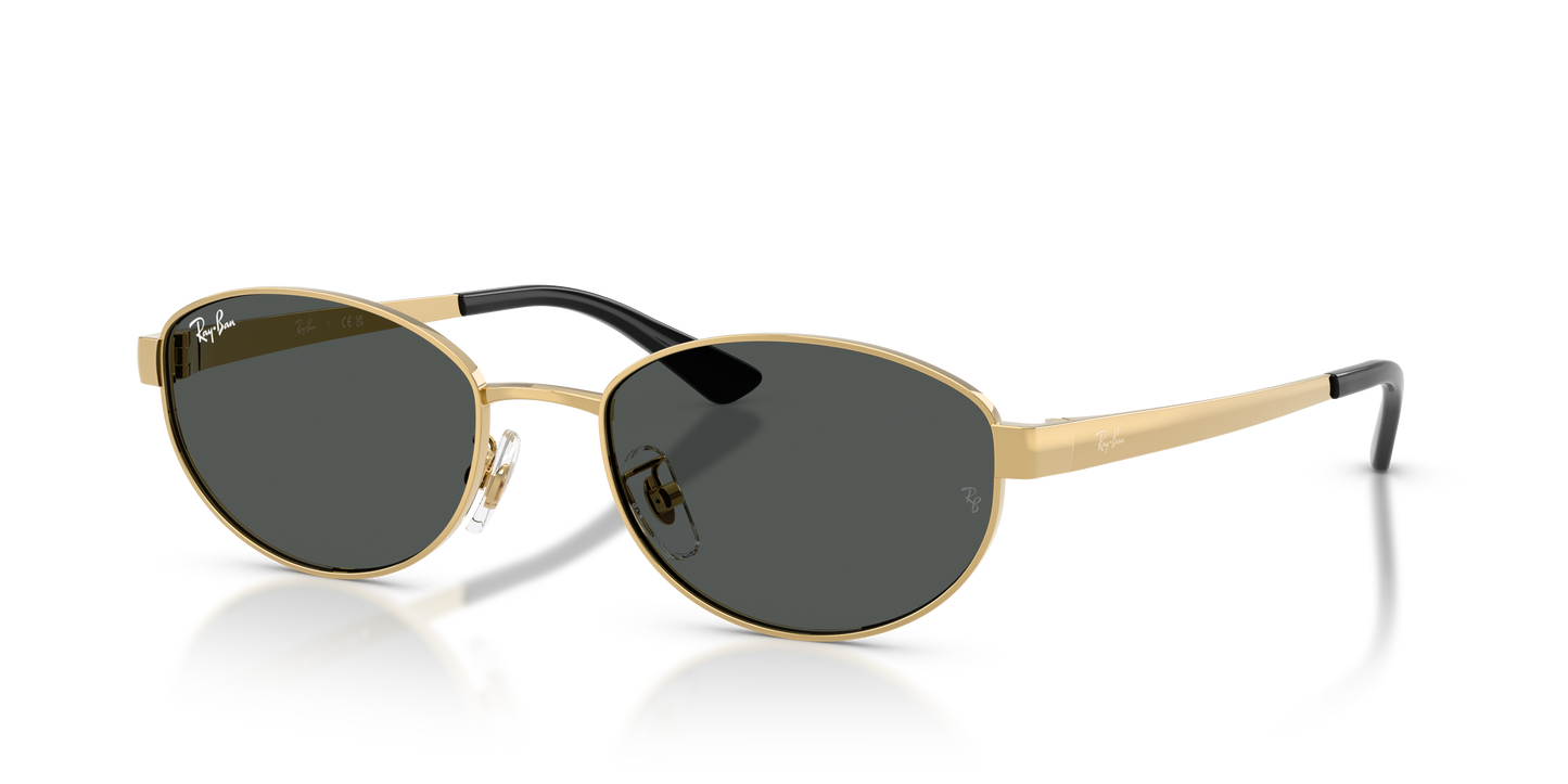 Ray-Ban RB3774D Sunglasses - Oval Metal Frame