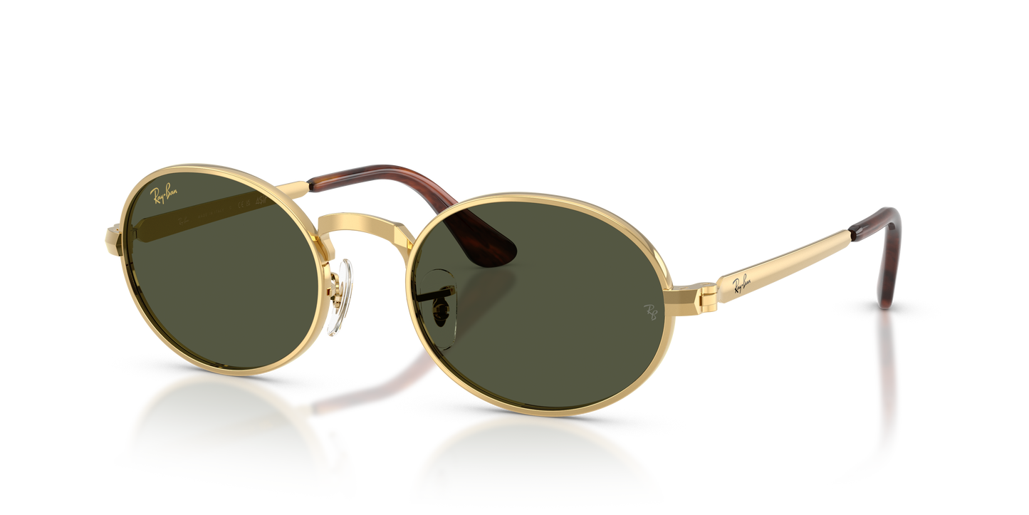 Ray-Ban RB3931 by A$AP Rocky Sunglasses - Oval Metal Frame