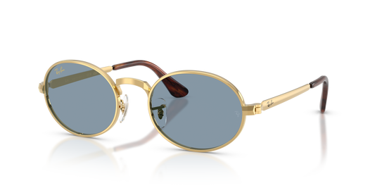 Ray-Ban RB3931 by A$AP Rocky Sunglasses - Oval Metal Frame