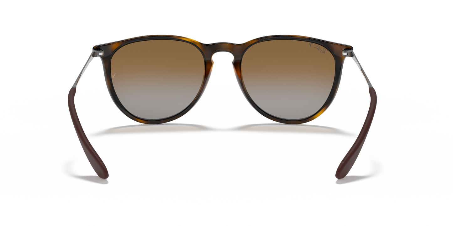 Ray-Ban RB4171 Erika Classic Sunglasses - Phantos Injected Frame