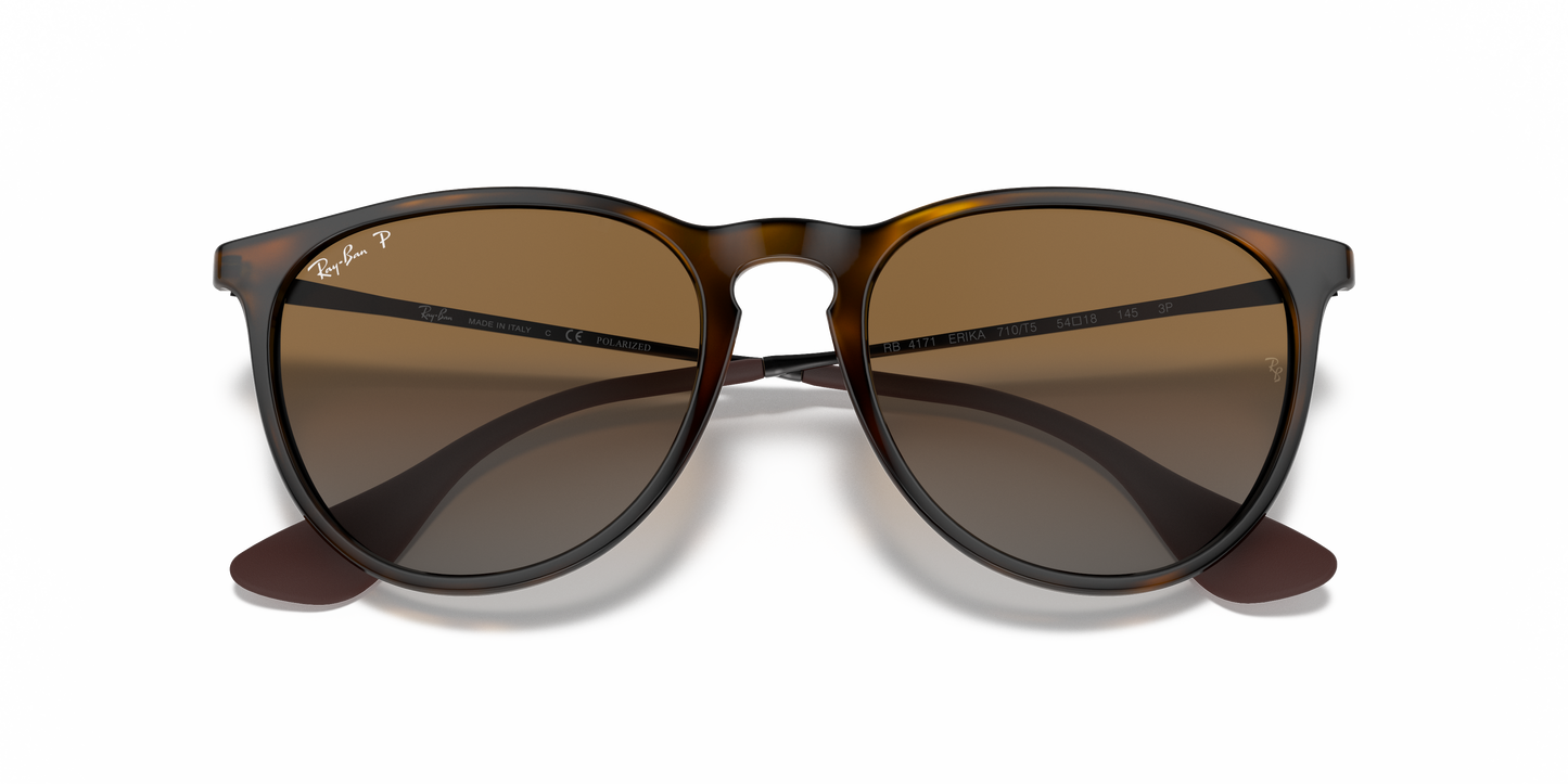 Ray-Ban RB4171 Erika Classic Sunglasses - Phantos Injected Frame