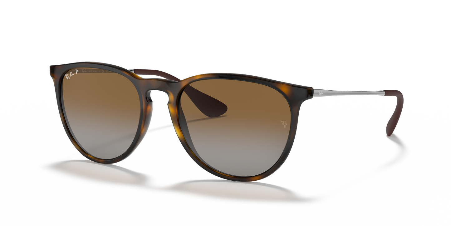 Ray-Ban RB4171 Erika Classic Sunglasses - Phantos Injected Frame