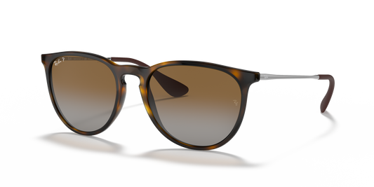 Ray-Ban RB4171 Erika Classic Sunglasses - Phantos Injected Frame