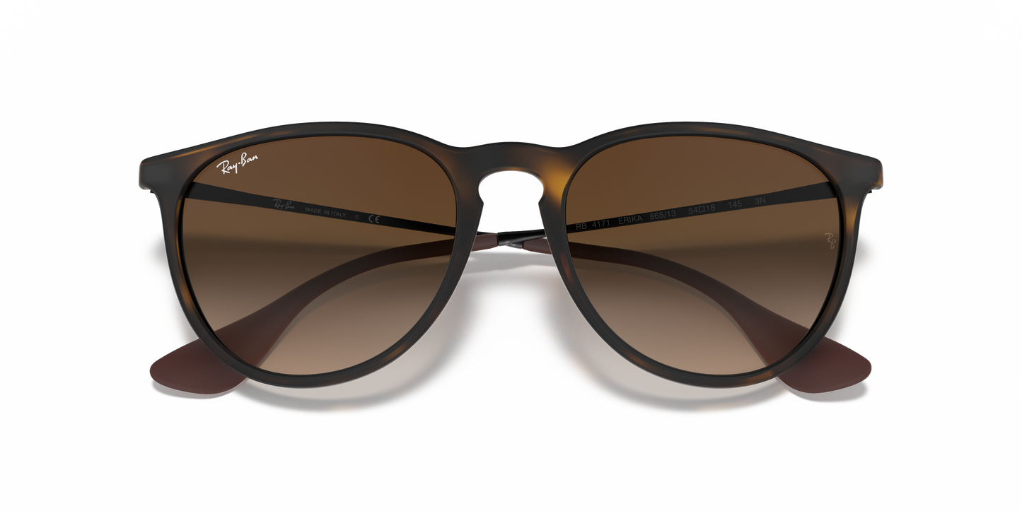 Ray-Ban RB4171 Erika Classic Sunglasses - Phantos Nylon Frame