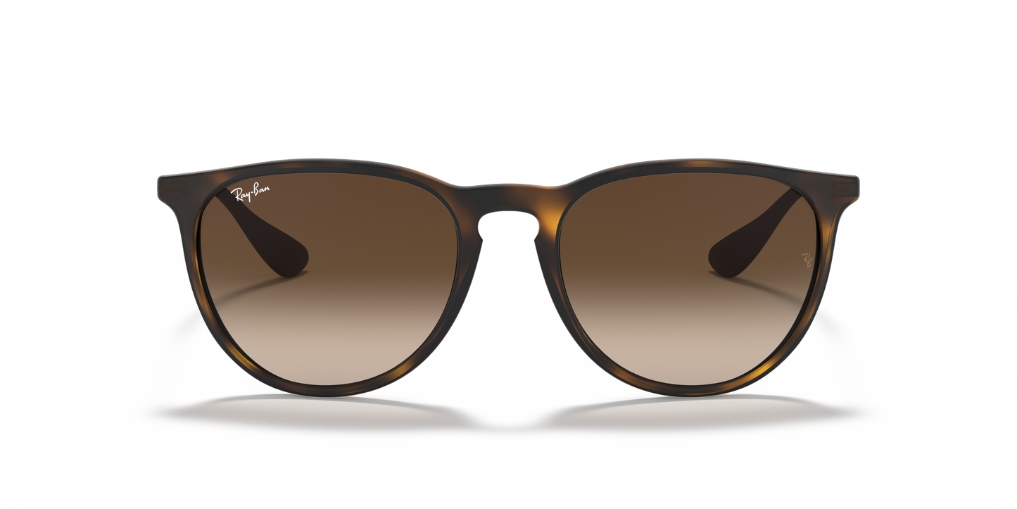 Ray-Ban RB4171 Erika Classic Sunglasses - Phantos Nylon Frame