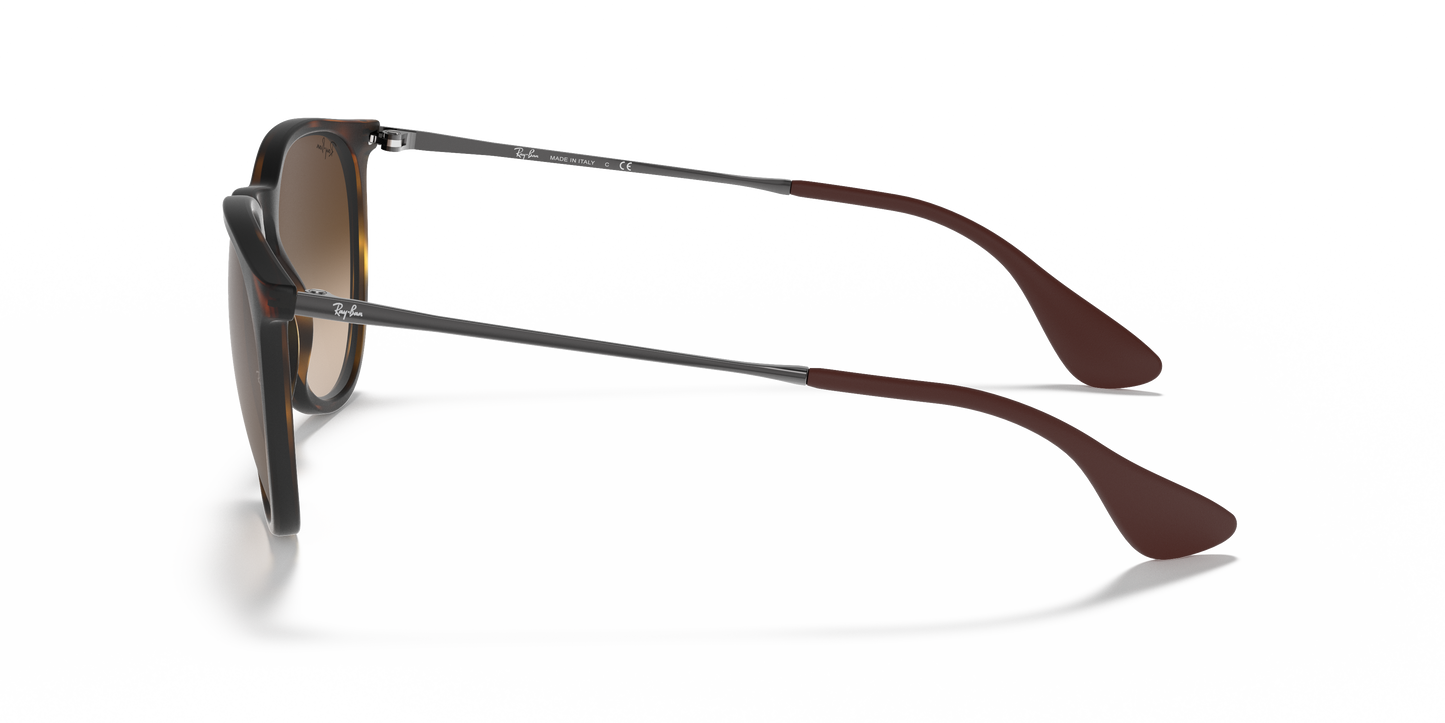 Ray-Ban RB4171 Erika Classic Sunglasses - Phantos Injected Frame