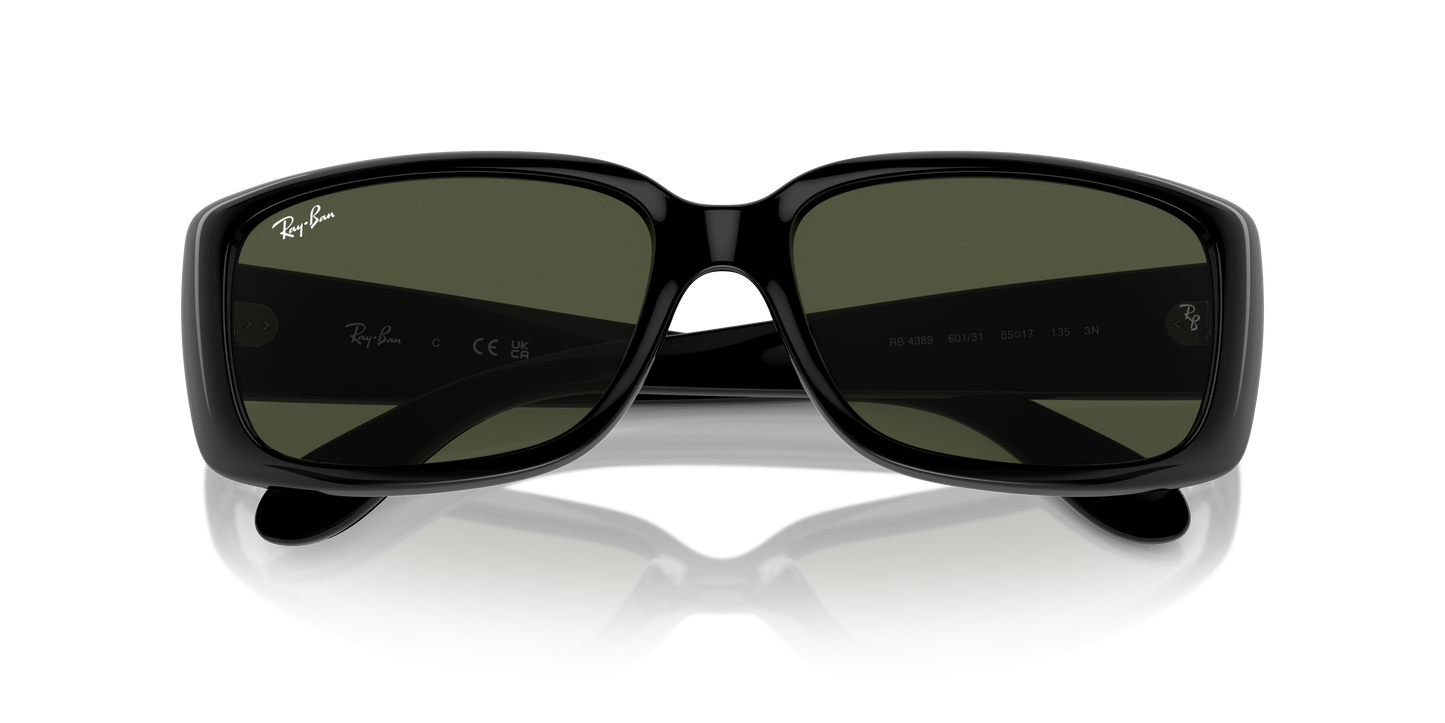 Ray-Ban RB4389 Sunglasses - Pillow Injected Frame