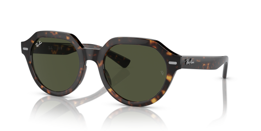 Ray-Ban RB4399 Gina Sunglasses - Square Injected Frame