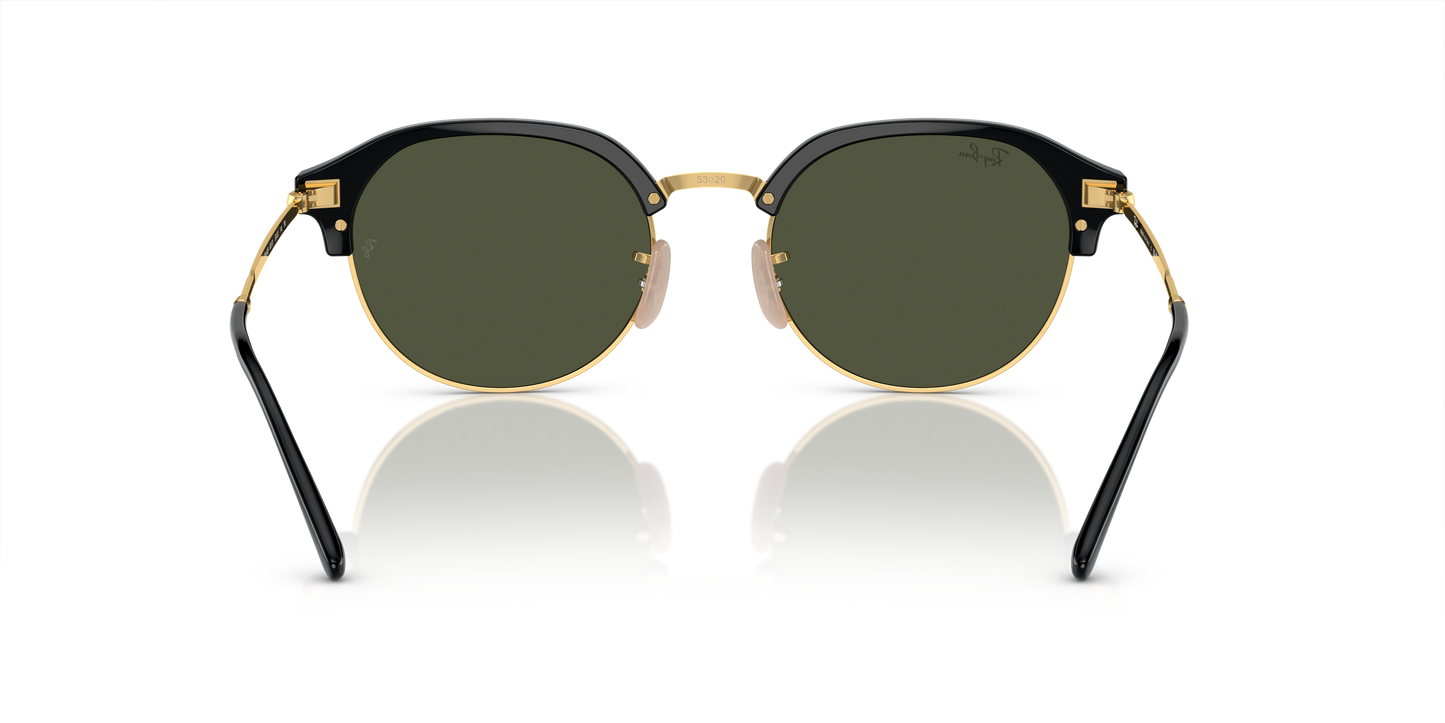 Ray-Ban RB4429 Sunglasses - Geometric Injected Frame