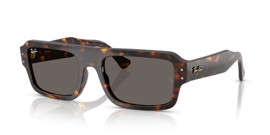 Ray-Ban RB4454 Flacko Bio-Based Sunglasses - Rectangle Injected Frame
