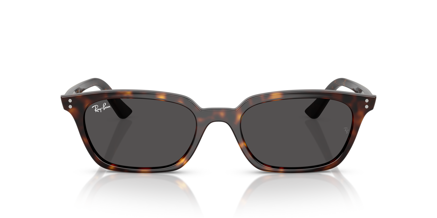 Ray-Ban RB4456 Zaya Bio-Based Sunglasses - Pillow Injected Frame
