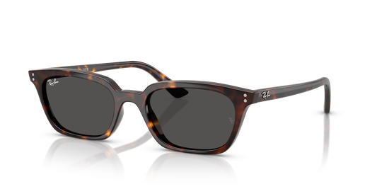 Ray-Ban RB4456 Zaya Bio-Based Sunglasses - Pillow Injected Frame