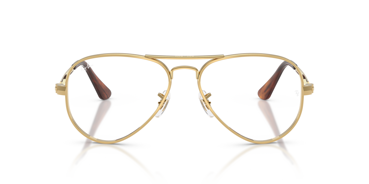 Ray-Ban RB3925V Aviator Max Eyeglasses - Metal Frame