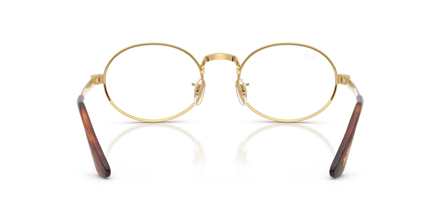 Ray-Ban RB3931V by A$AP Rocky Eyeglasses - Oval Metal Frame