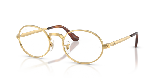 Ray-Ban RB3931V by A$AP Rocky Eyeglasses - Oval Metal Frame