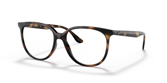 Ray-Ban RB4378V Eyeglasses - Square Injected Frame
