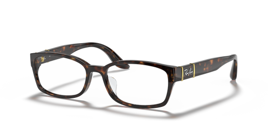 Ray-Ban RB5198 Eyeglasses - Square Acetate Frame