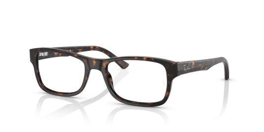 Ray-Ban RB5268 Eyeglasses - Square Acetate Frame
