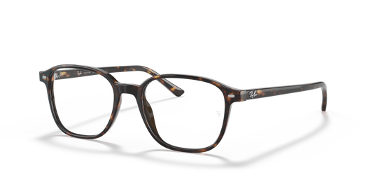 Ray-Ban RB5393 Leonard Eyeglasses - Square Acetate Frame