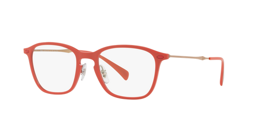 Ray-Ban RB8955 Eyeglasses - Square Nylon Frame